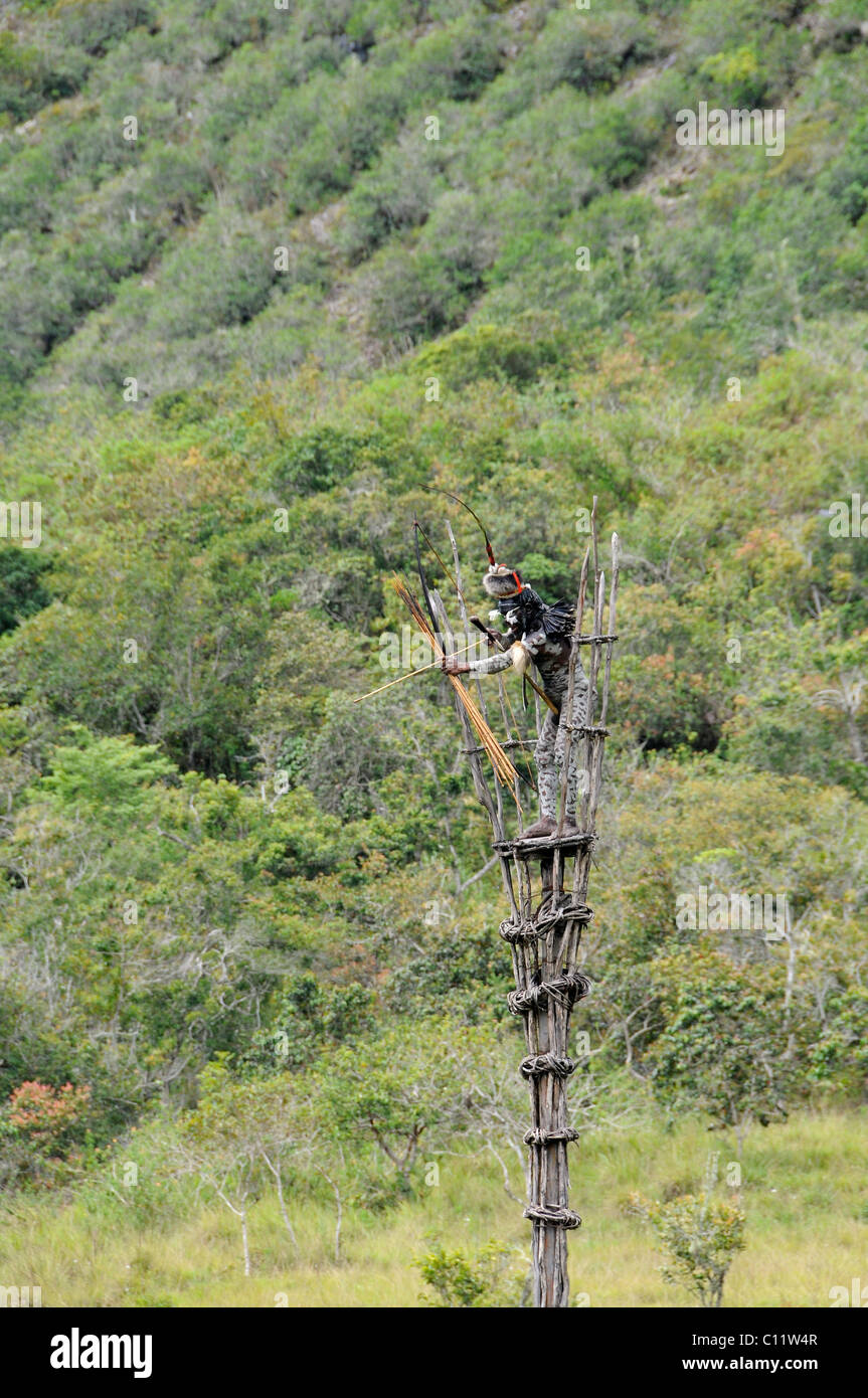 Le ostilità Danis, Yiwika, Il Baliem Valley, Irian Jaya, Papua Nuova Guinea, Indonesia Asia sud-orientale, Asia Foto Stock