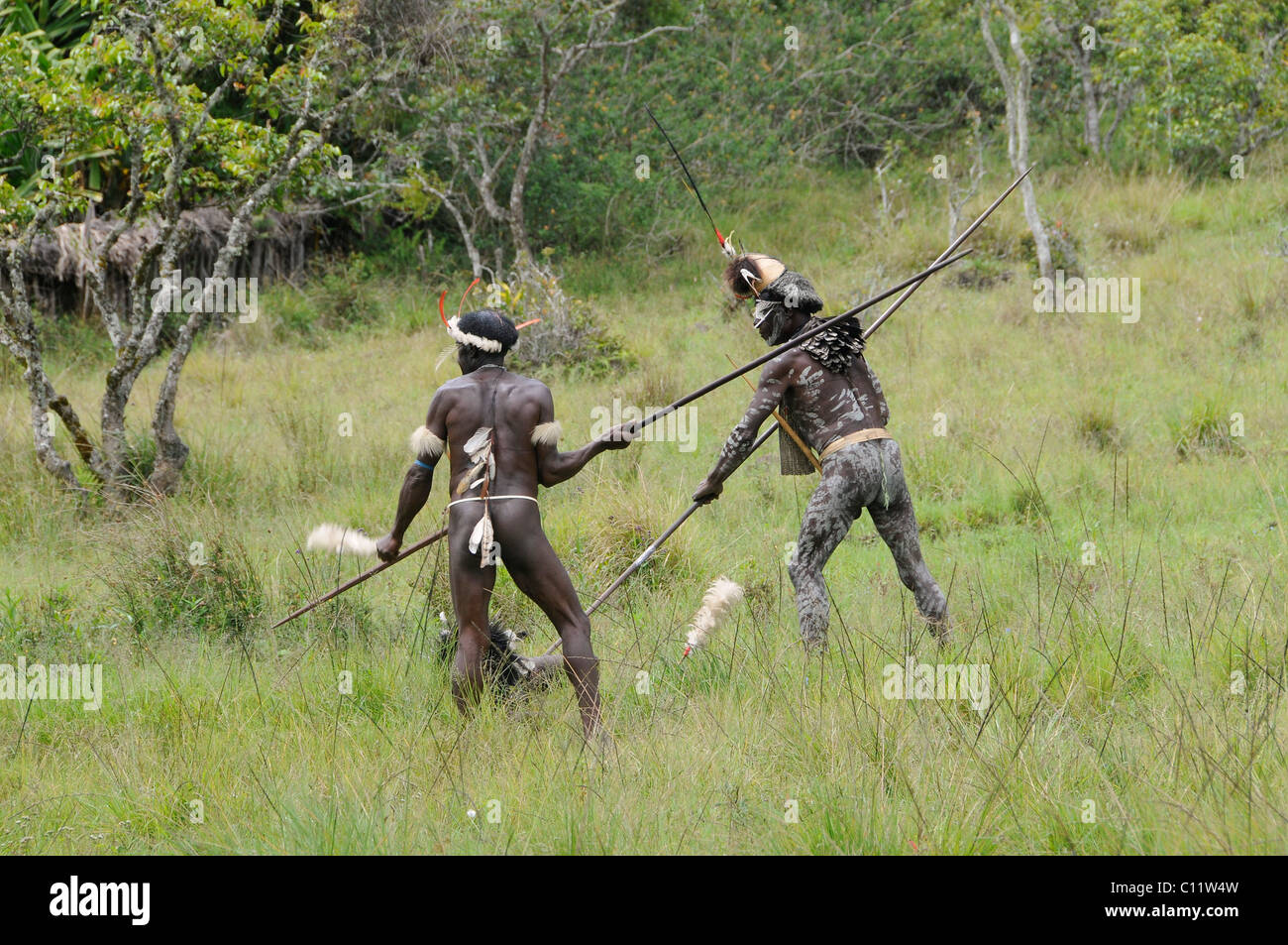 Le ostilità Danis, Yiwika, Il Baliem Valley, Irian Jaya, Papua Nuova Guinea, Indonesia Asia sud-orientale, Asia Foto Stock