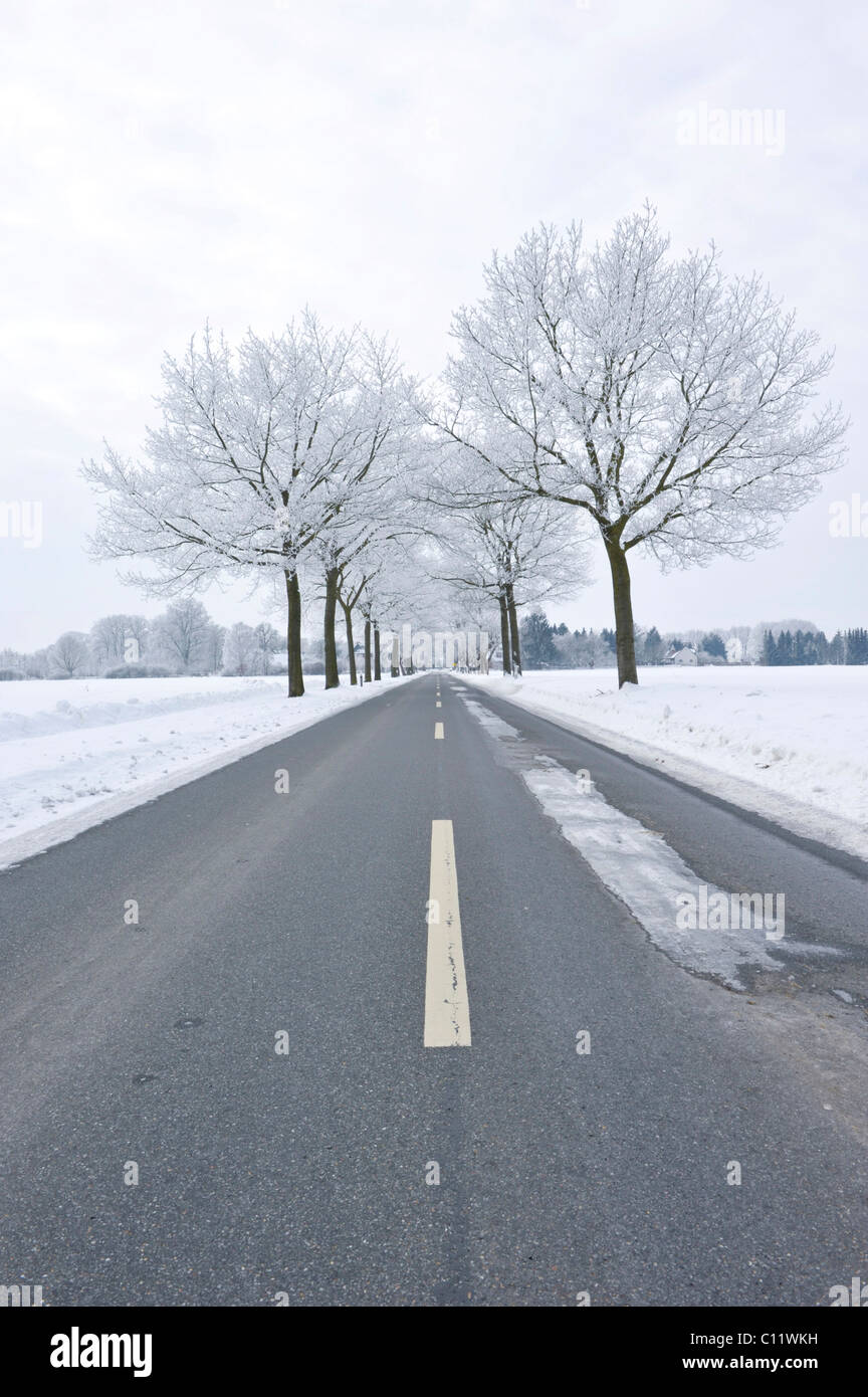 Wintery road con gelido di patch Foto Stock