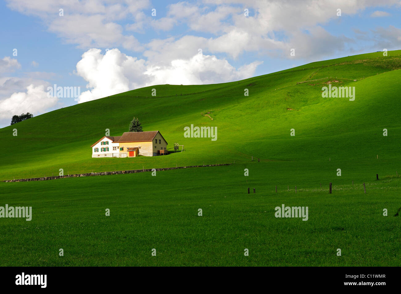 Agriturismo in mezzo al verde dei prati, cantone di Appenzell, Svizzera, Europa Foto Stock
