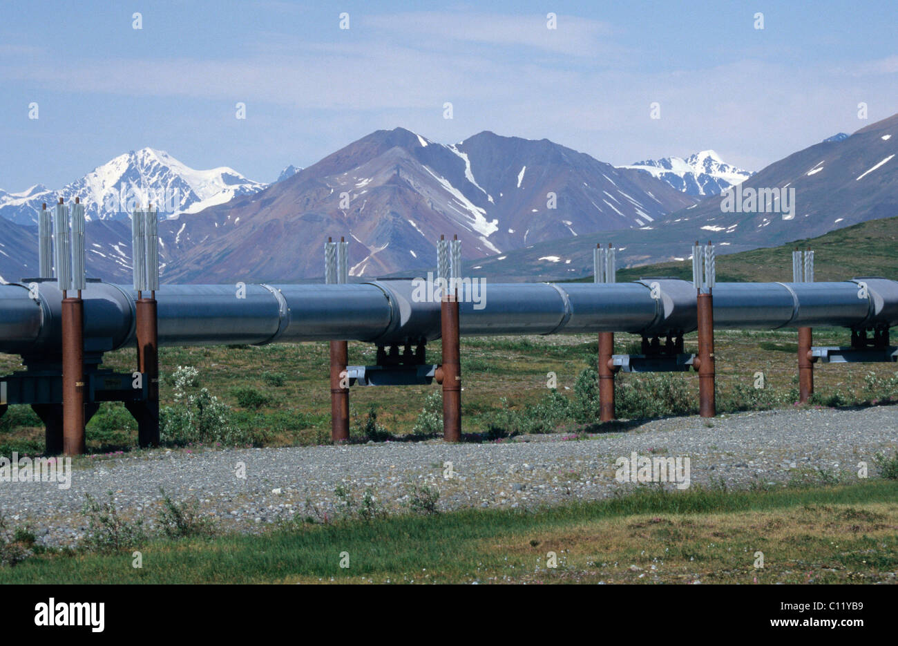 Oleodotto in Alaska, STATI UNITI D'AMERICA Foto Stock