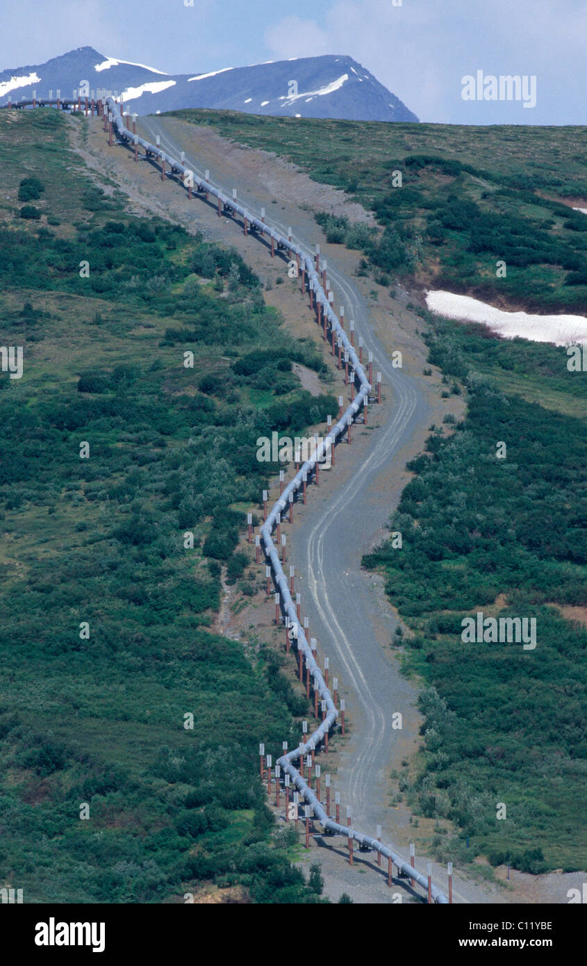 Oleodotto in Alaska, STATI UNITI D'AMERICA Foto Stock