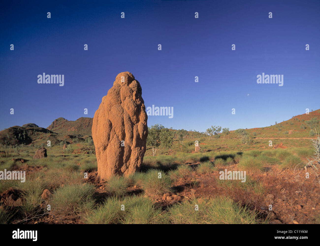 Pasticciare pasticciare, termite nido, National Park, Australia occidentale, Australia Foto Stock