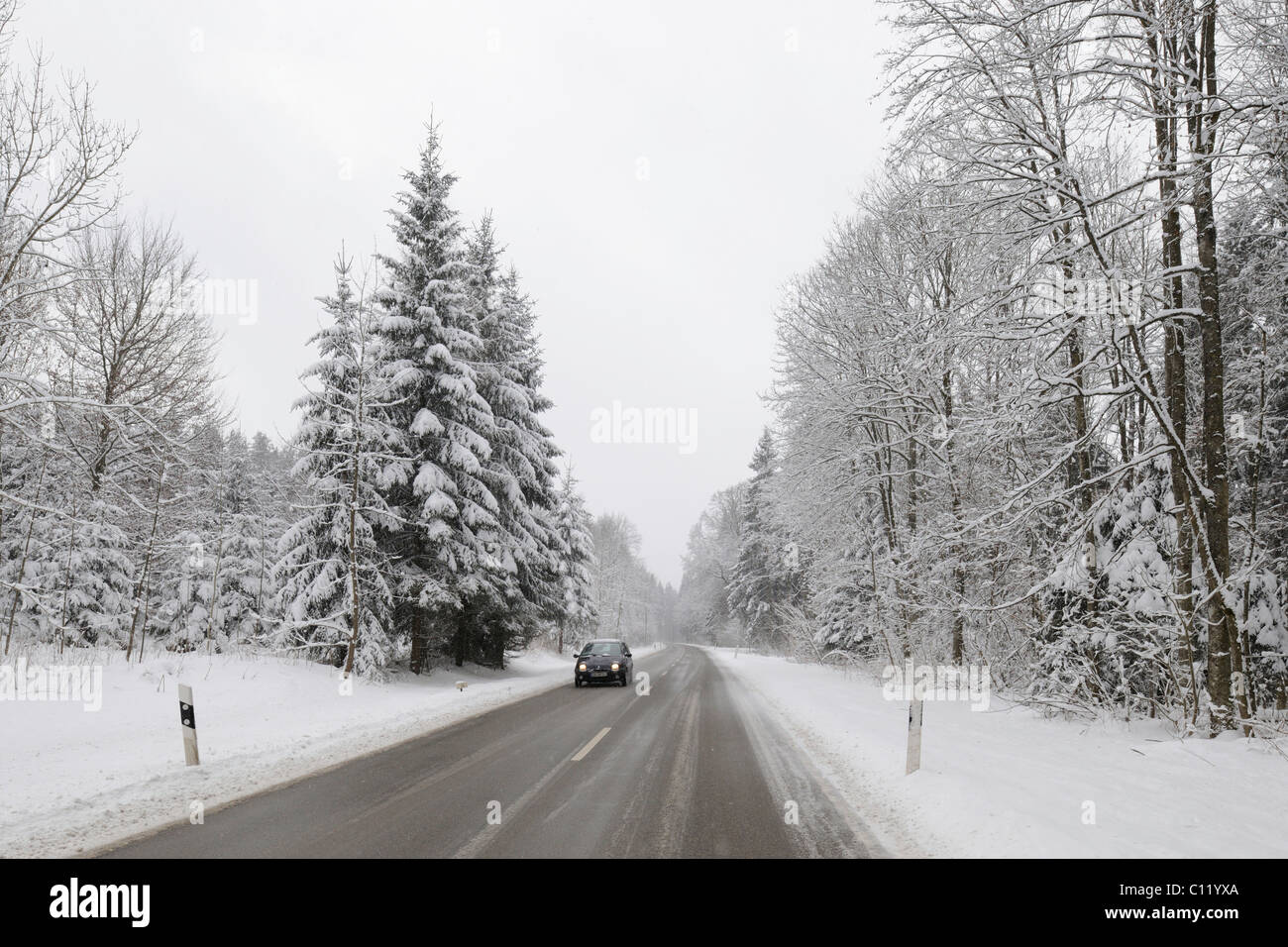 Strada di campagna attraverso il bosco in inverno, Landkreis Pfullingen county, Baden-Wuerttemberg, Germania, Europa Foto Stock
