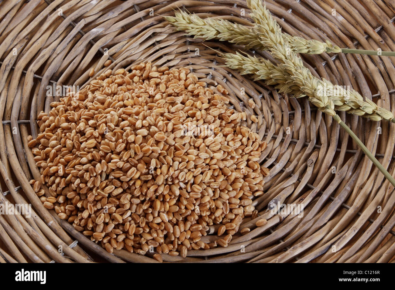 Chicchi di grano (Triticum) con spighe di grano in un cesto tessuto Foto Stock