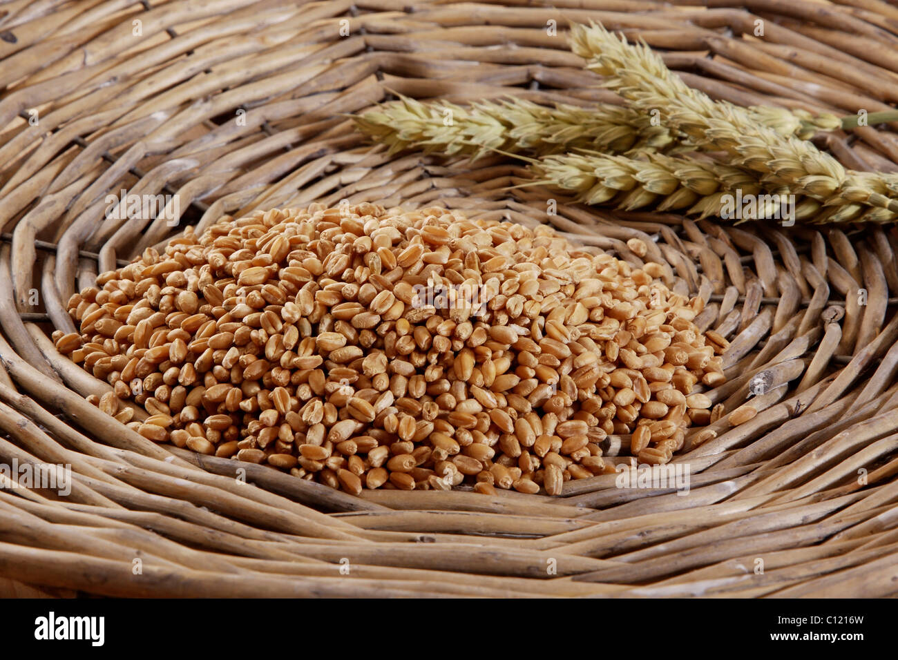 Chicchi di grano (Triticum) con spighe di grano in un cesto tessuto Foto Stock