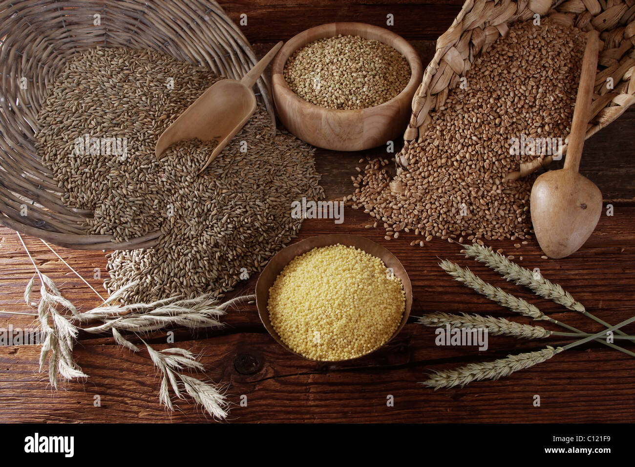 Diversi tipi di grano, segale (Secale cereale), frumento (Triticum), il grano saraceno (Fagopyrum esculentum) e il miglio (Panicum Foto Stock