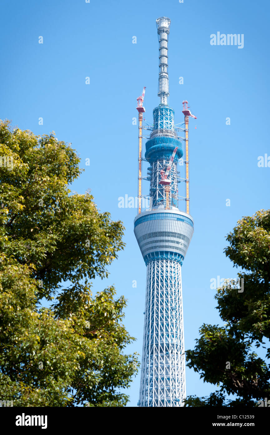 TOKYO, Giappone - 3 Marzo: Tokyo Sky Tree, prevista per il completamento nel 2012, diventa l'edificio piu' alto del mondo. Foto Stock