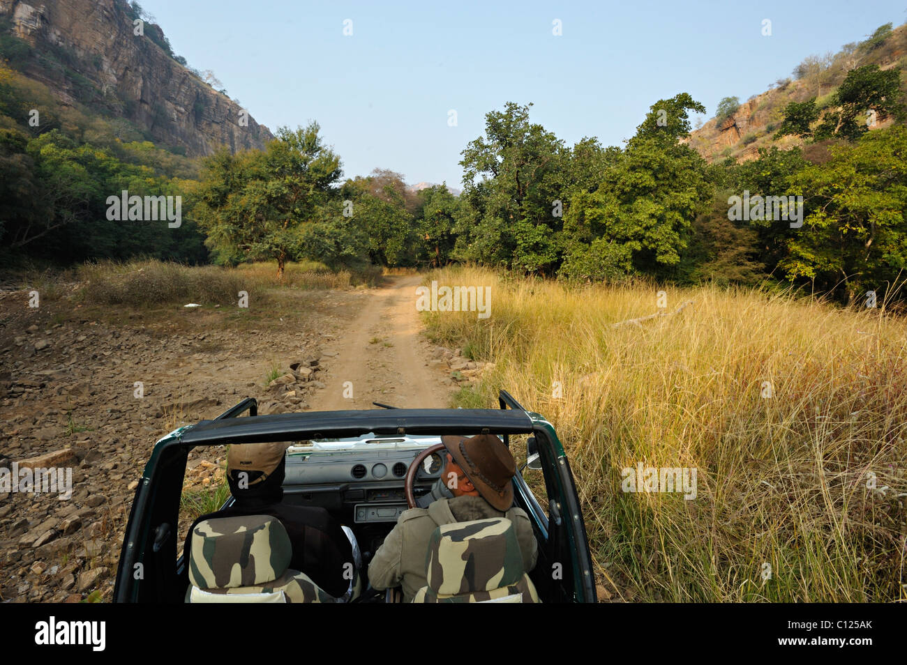 Una trazione a quattro ruote motrici in auto la giungla del Parco nazionale di Ranthambore, Rajasthan, India, Asia Foto Stock