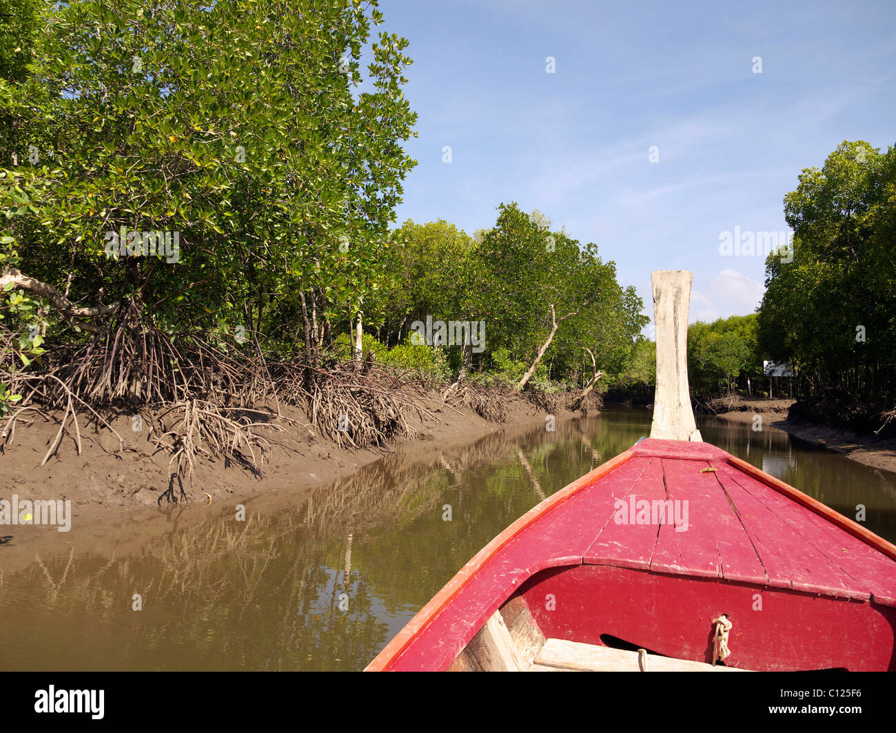 Barca, foreste di mangrovie di Koh Lanta Marine National Park, Ko Lanta, sul Mare delle Andamane, provincia di Krabi, nel sud della thailandia, tailandia Foto Stock