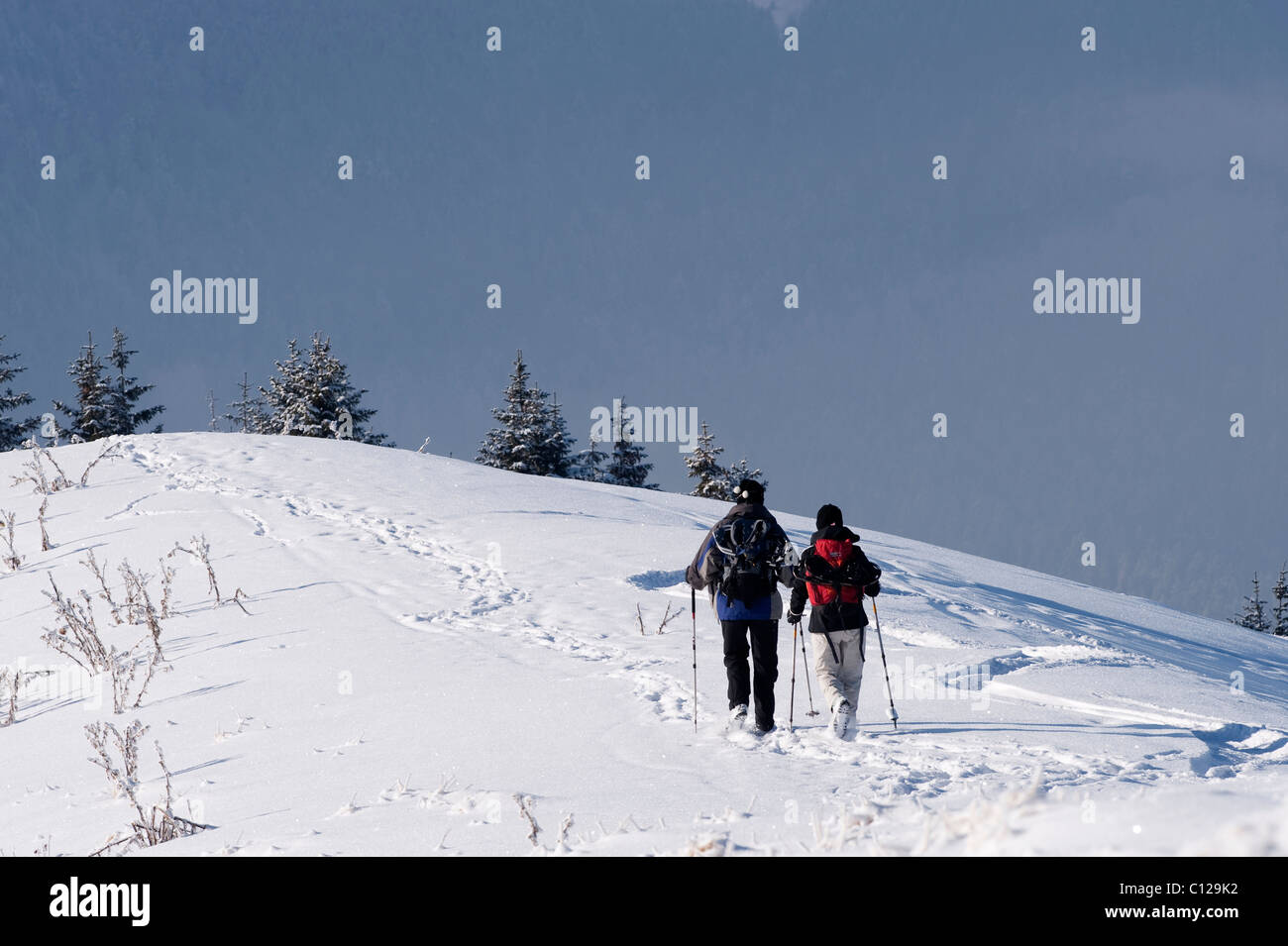 Gli escursionisti, Alpi Bavaresi, Mt. Setzberg, Alta Baviera, Baviera, Germania, Europa Foto Stock