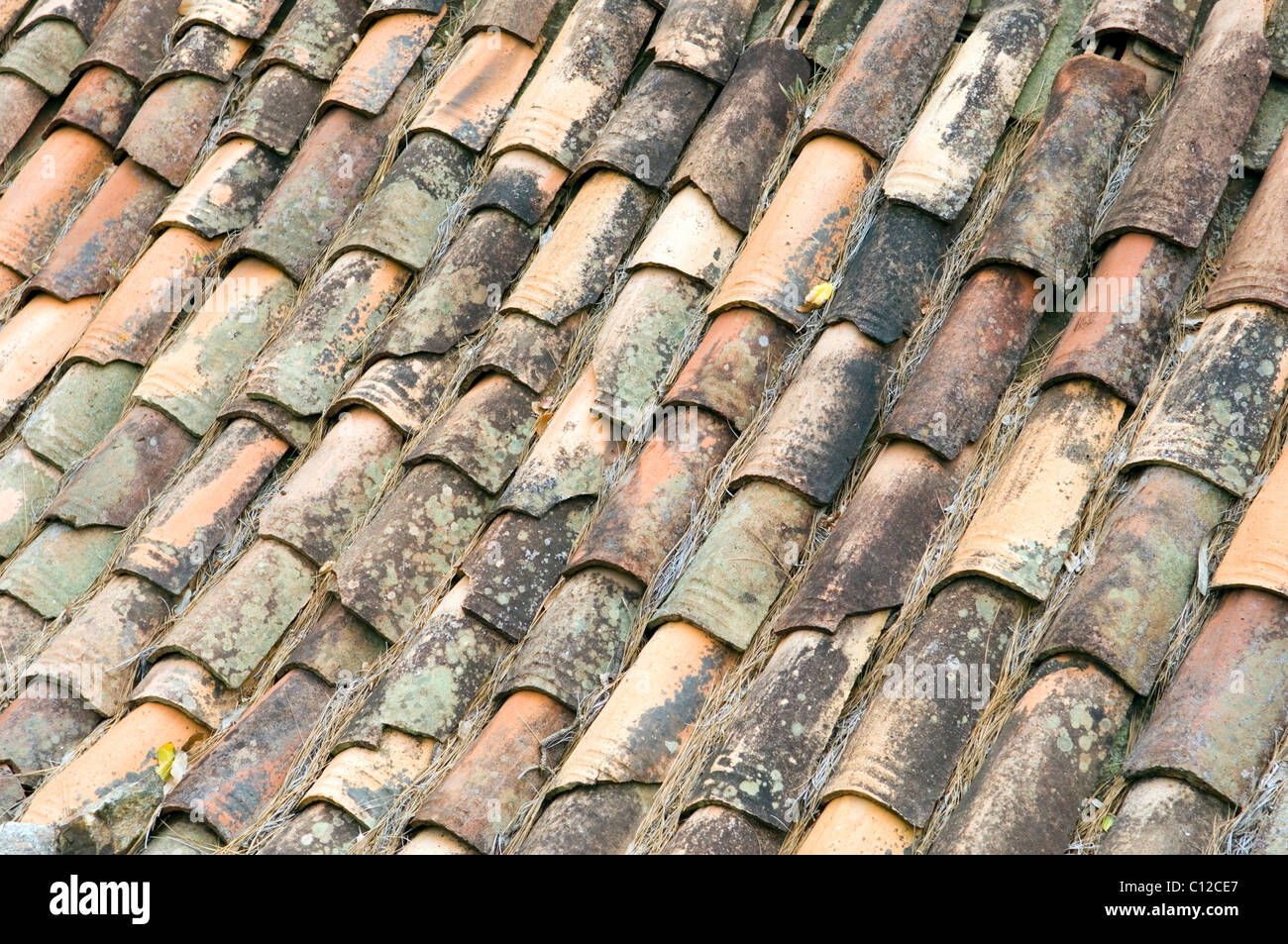 Vecchia ceramica tegole di terracotta sulla casa rurale su La Gomera, isole Canarie, Spagna Foto Stock