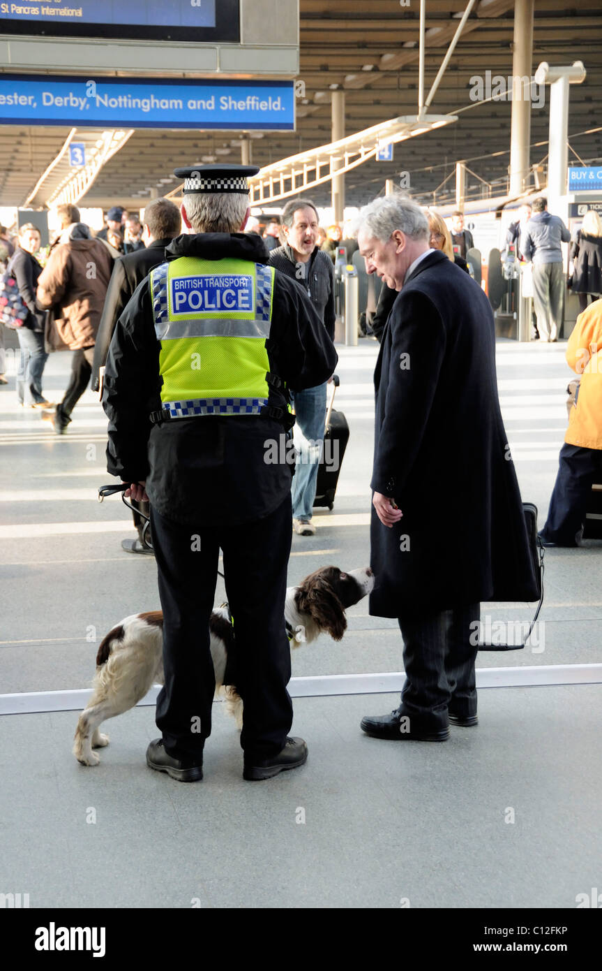 British Transport poliziotto con Sniffer cane annusando il mantello di un innocente traveler St. Pancras Londra Inghilterra REGNO UNITO Foto Stock