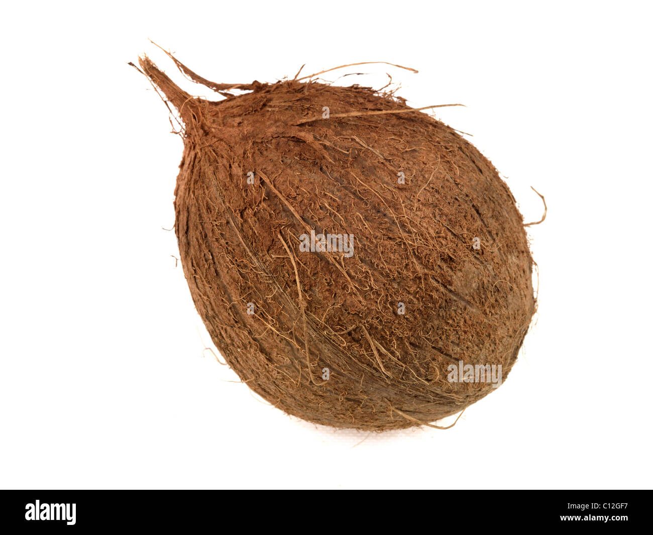 Tutto fresche e mature sano tropicale Coconut contro uno sfondo bianco con nessun popolo copia di spazio e di un tracciato di ritaglio Foto Stock