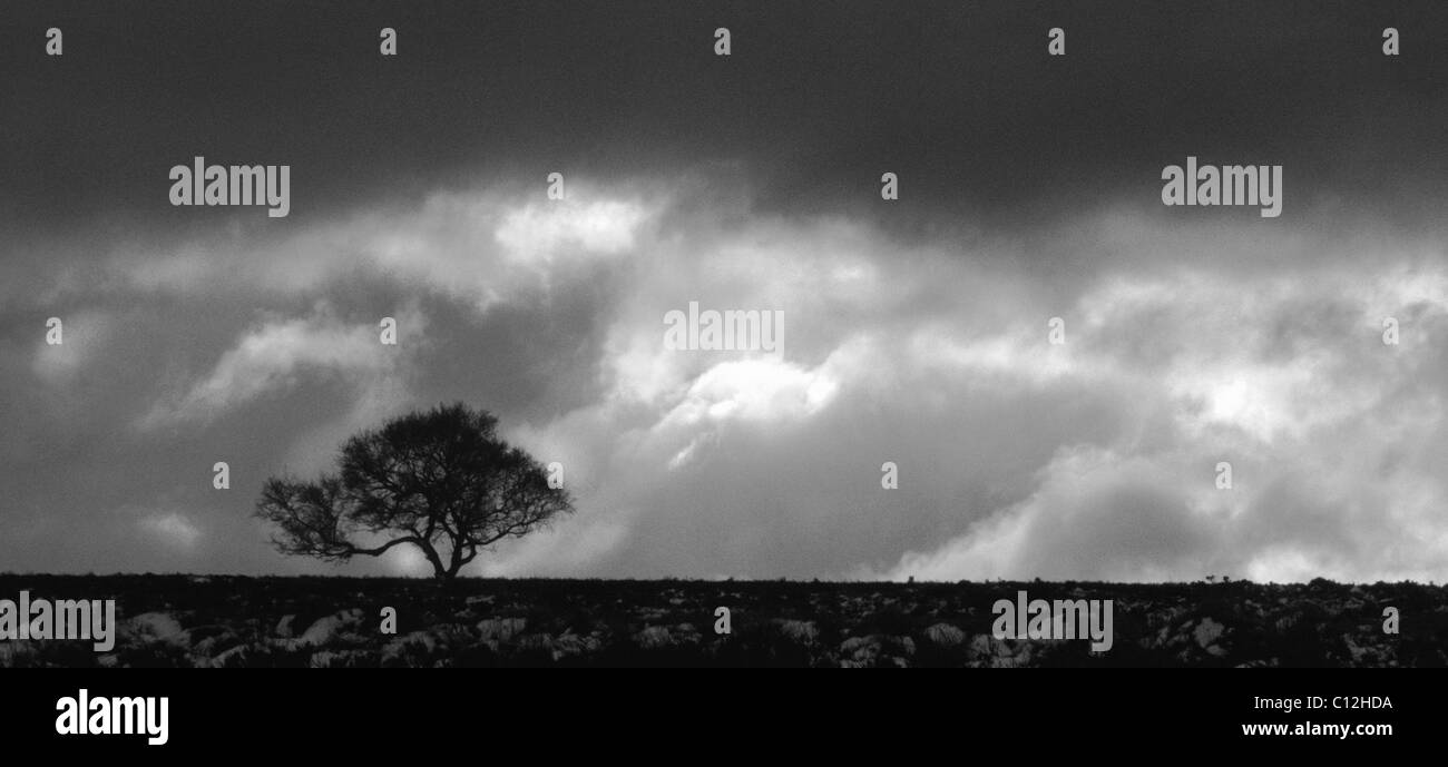 Una struttura ad albero stagliano siede sulla cima di una collina con nuvole temporalesche overhead durante l'inverno a Sheffield, in Inghilterra. Foto Stock
