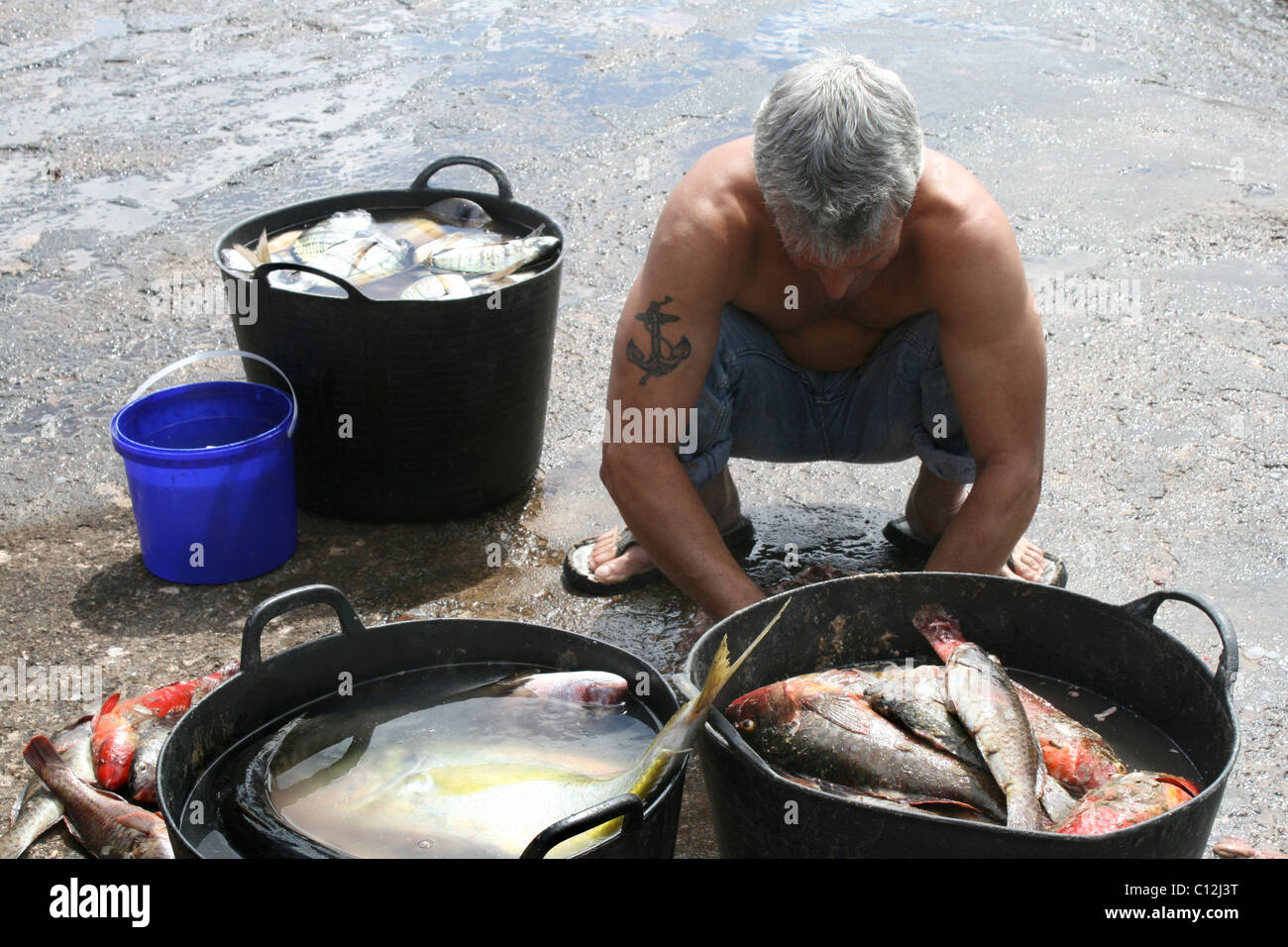 Isola Canarie pesci di roccia, orate, dorada e più, pescato del giorno a El Cotillo Fuerteventura Foto Stock