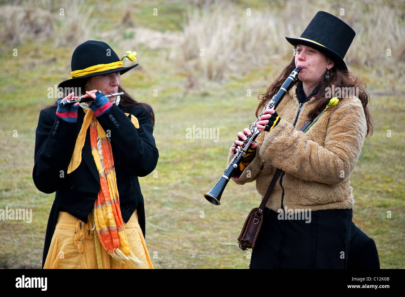 Un locale folk band suonare durante l annuale St.Pirans giorno le celebrazioni a Perranporth in Cornwall, Regno Unito Foto Stock