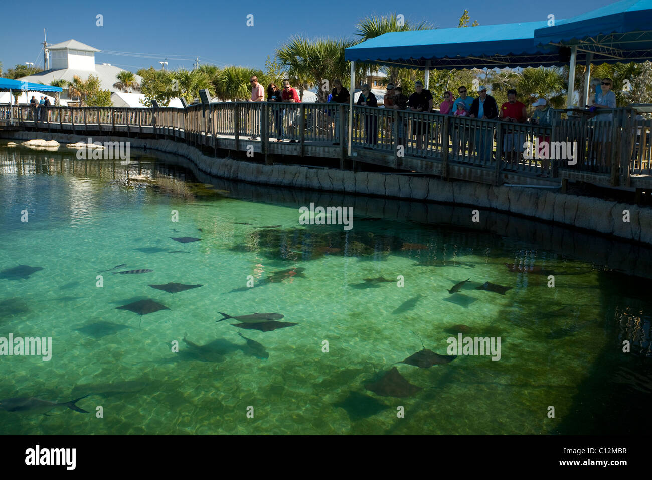 Il Florida Oceanographic centro costiero di Stuart, Florida ospita la piscina di pesce locale e altre forme di vita marina nel centro. Foto Stock