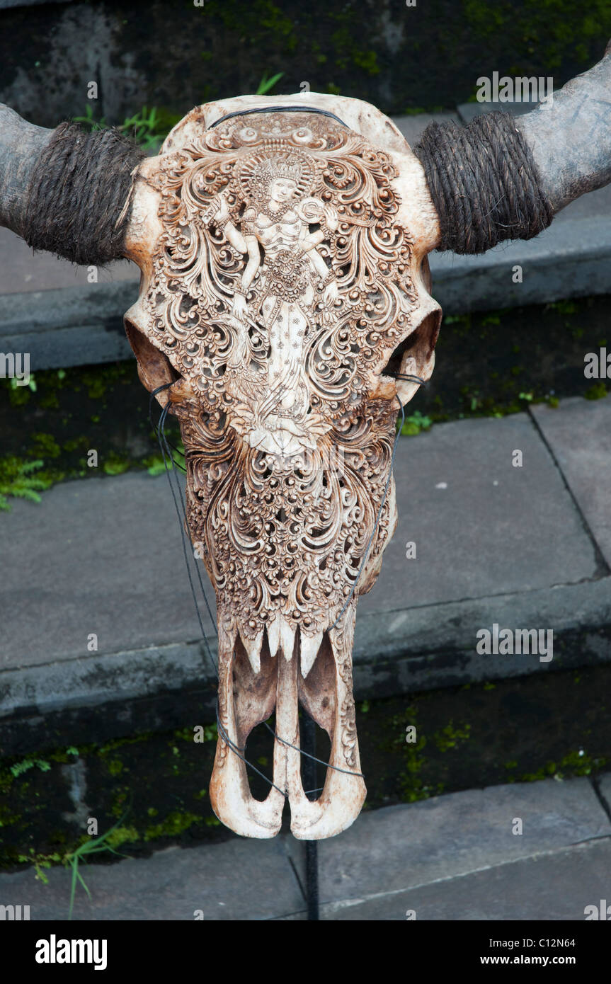 Delicatamente scolpiti teschio di bufalo al di fuori di una galleria in Ubud, Bali, Indonesia Foto Stock