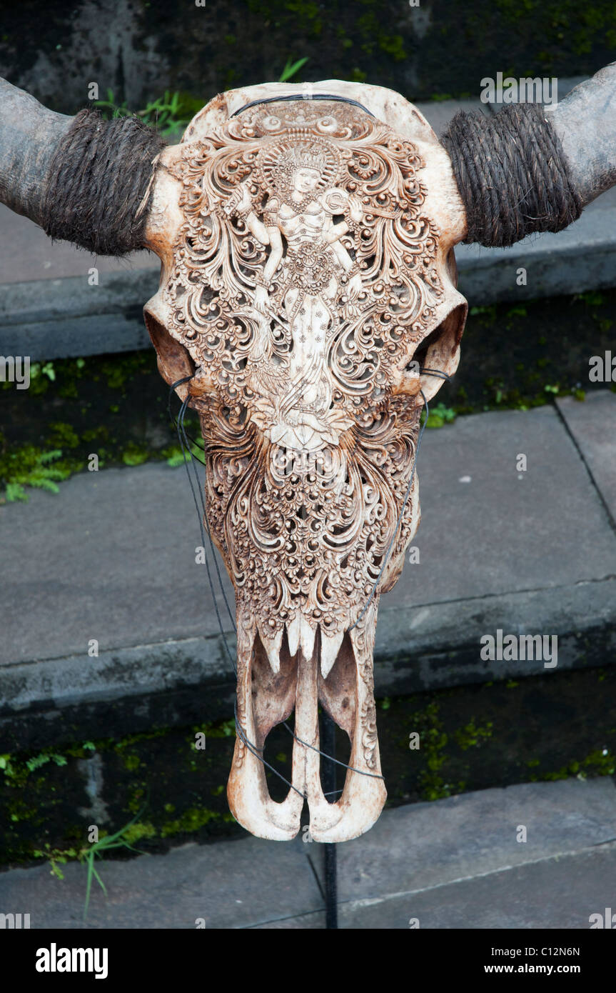 Delicatamente scolpiti teschio di bufalo al di fuori di una galleria in Ubud, Bali, Indonesia Foto Stock