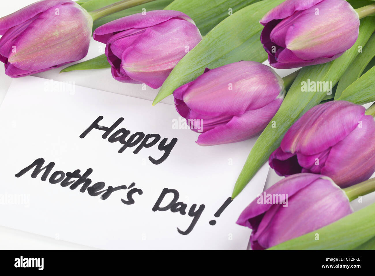 La festa della mamma concetto-- tulipani viola con carta su sfondo bianco Foto Stock