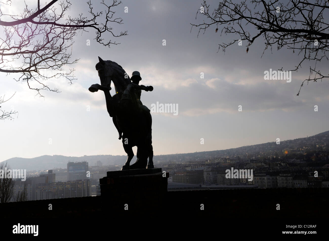 Allevamento di cavaliere, statua a Budapest, Ungheria Foto Stock