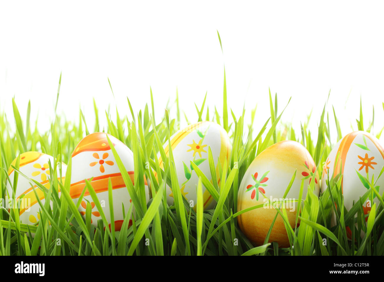 Fila di uova di Pasqua in fresco di erba verde Foto Stock