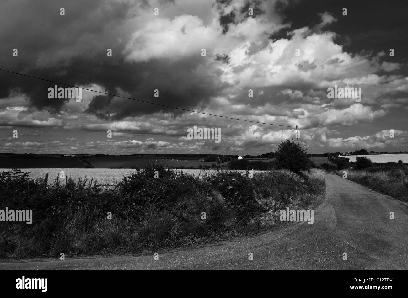 Strada nella contea di Cork, Irlanda Foto Stock