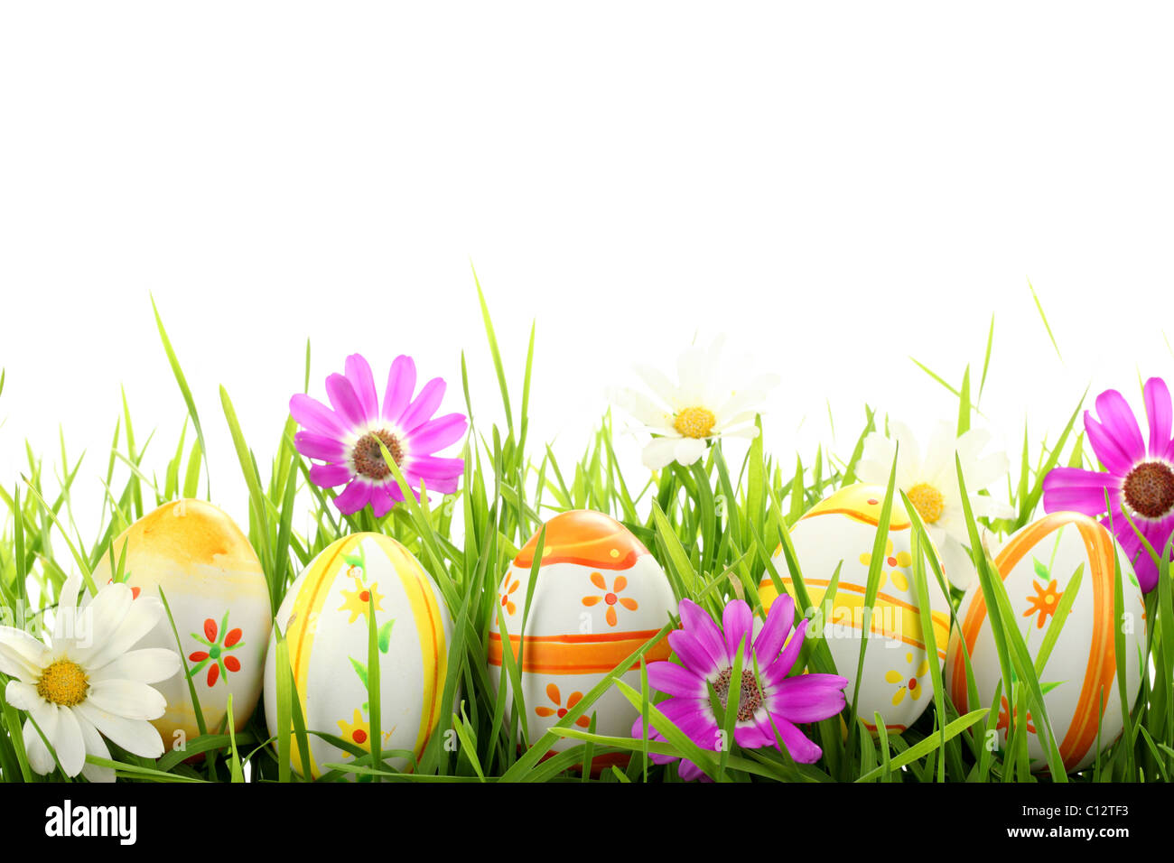 Fila di uova di Pasqua con la margherita sul fresco verde erba Foto Stock