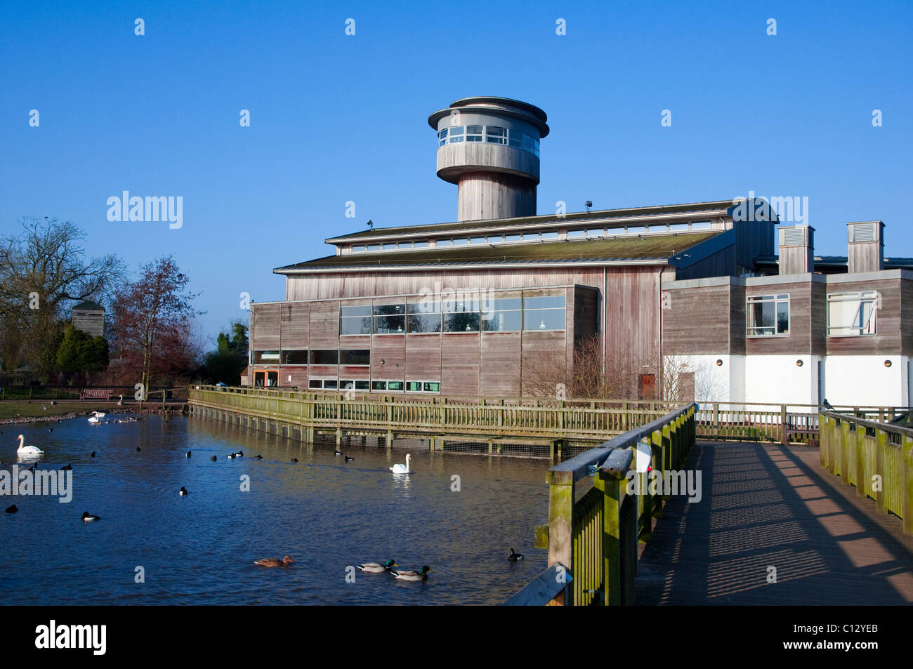 La conservazione delle zone umide del Centro Visitatori, Slimbridge, Glos. Slimbridge, è un membro del WWT (Wildlife & Wetlands Trust). Foto Stock