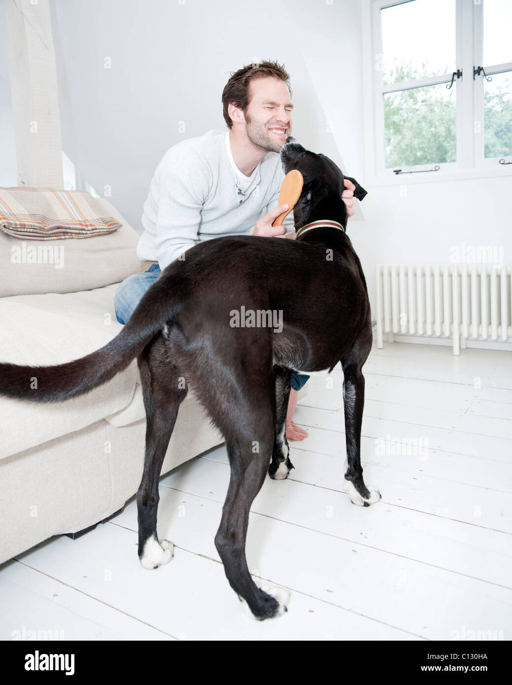 Giovane uomo che pulisce il suo cane con spazzola Foto Stock