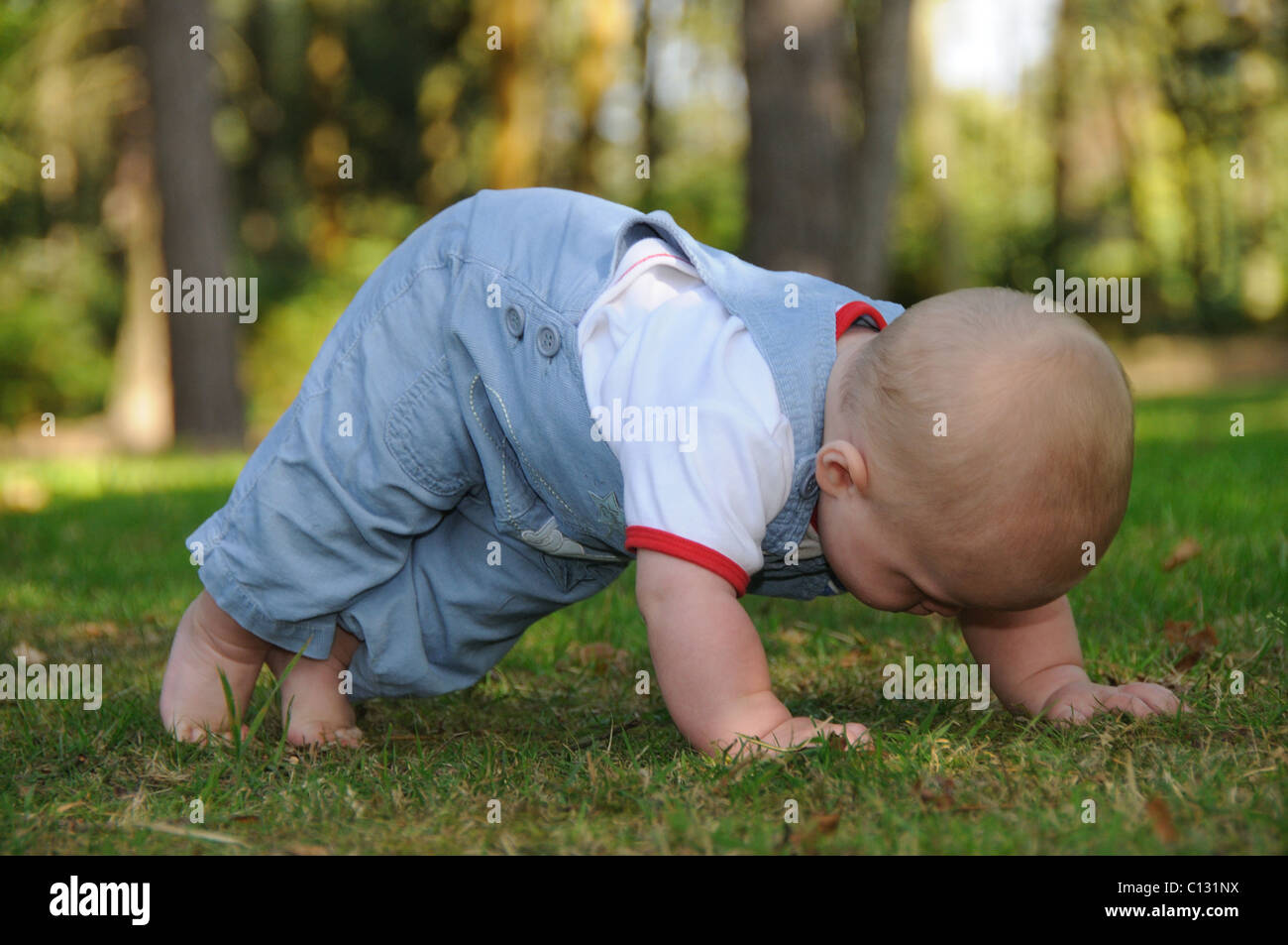 Il bambino fa un 'premere up' ottenere pronto a ricerca per indicizzazione Foto Stock