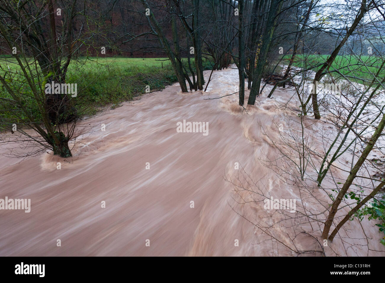 Alluvione, sul flusso di collina, autunno, Bassa Sassonia, Germania Foto Stock