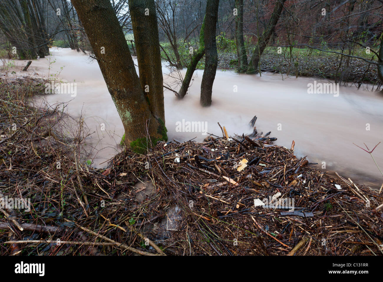 Alluvione, sul flusso di collina, autunno, Bassa Sassonia, Germania Foto Stock