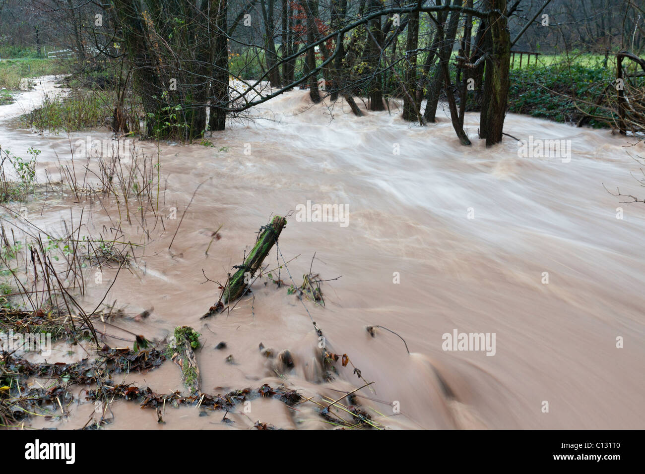 Alluvione, sul flusso di collina, autunno, Bassa Sassonia, Germania Foto Stock
