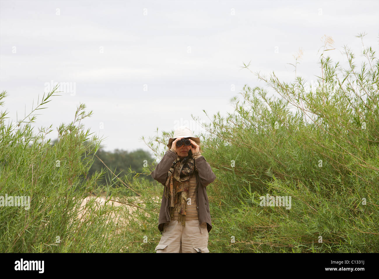 Ritratto di una donna su Safari cerca attraverso il suo binocolo, Luangwa Valley, Zambia Foto Stock
