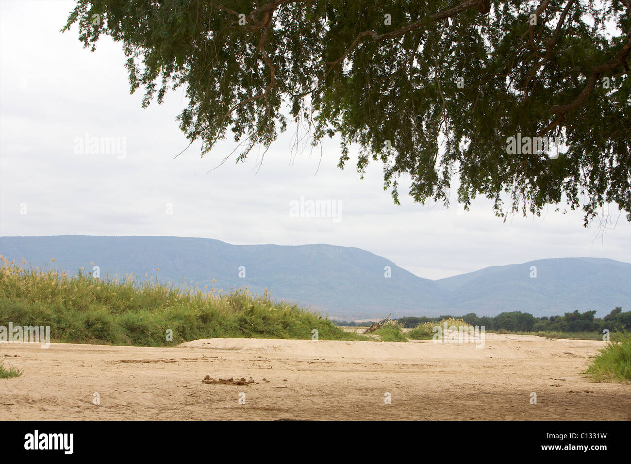 Vista di una sezione a secco del fiume Luangwa, Zambia Foto Stock