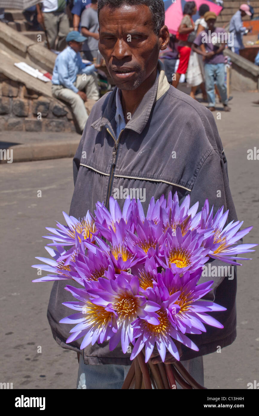 Cieco di vendita di fiori di loto. Mercato. Antananarivo. A volte abbreviato come tana. Capitale del Madagascar. Foto Stock