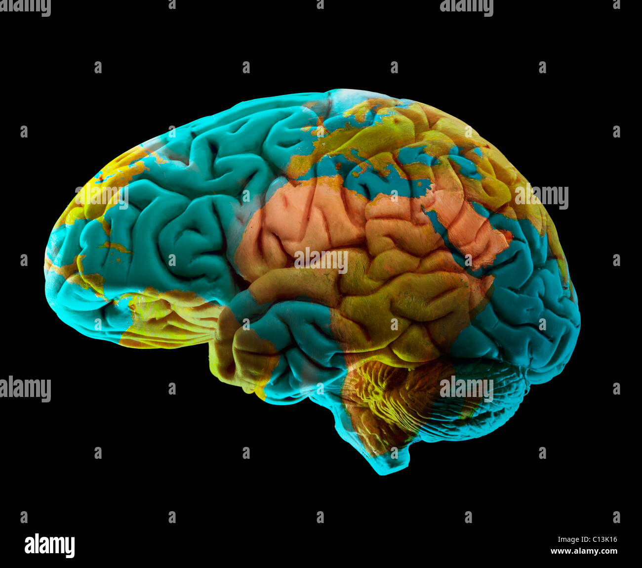 Composizione del cervello umano e il modello di mappa del mondo Foto Stock