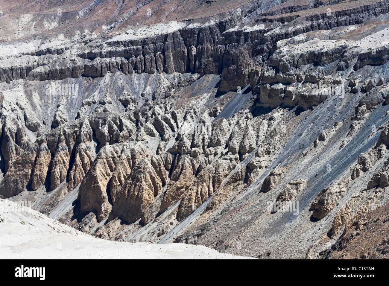 Campo di orzo in Karakorum Range, Nubra, Ladakh, India Foto Stock