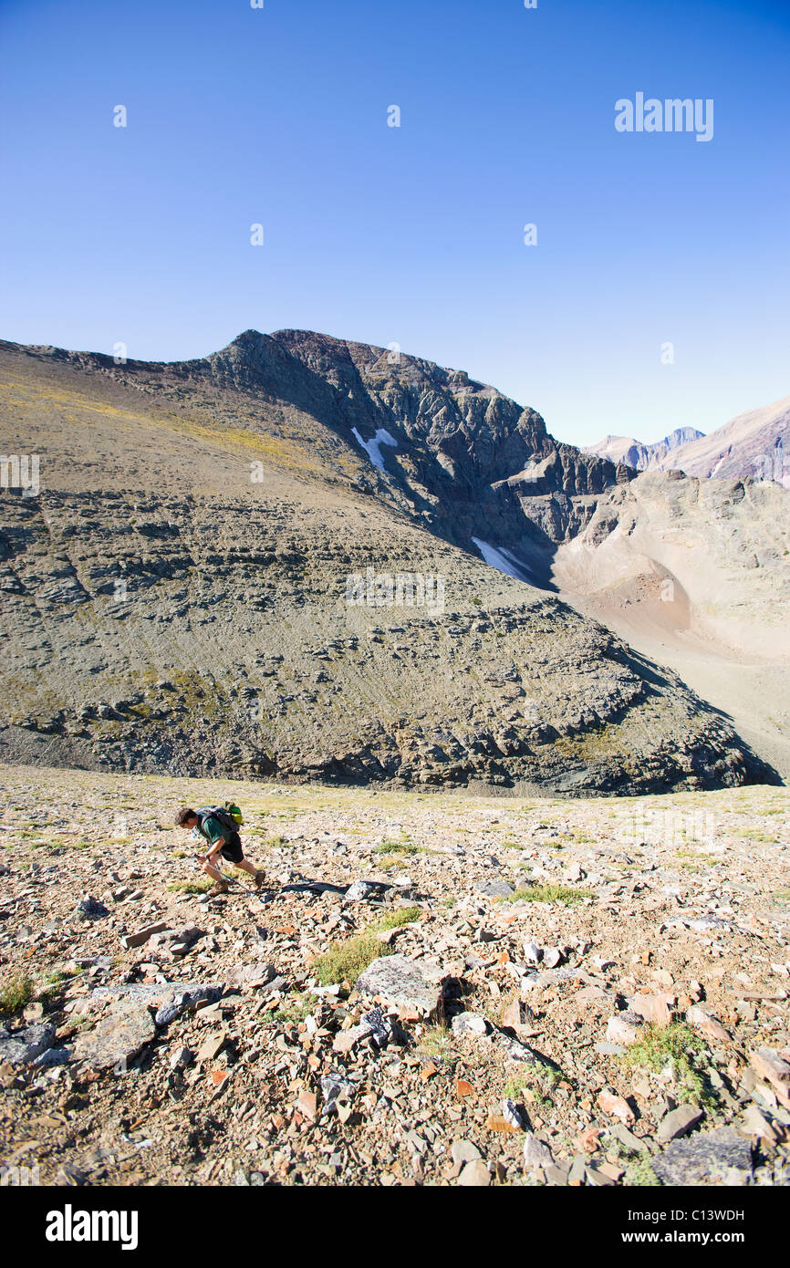 Stati Uniti d'America, Montana, il Parco Nazionale di Glacier, metà uomo adulto escursionismo Foto Stock