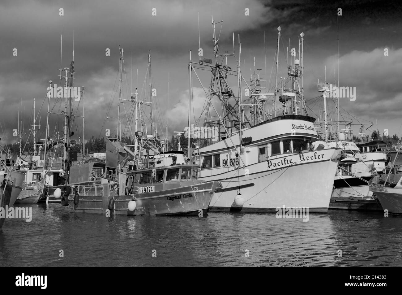 Attività di pesca i pescherecci con reti da traino a Comox Marina, Comox, Comox Valley, l'isola di Vancouver, British Columbia, Canada. Foto Stock