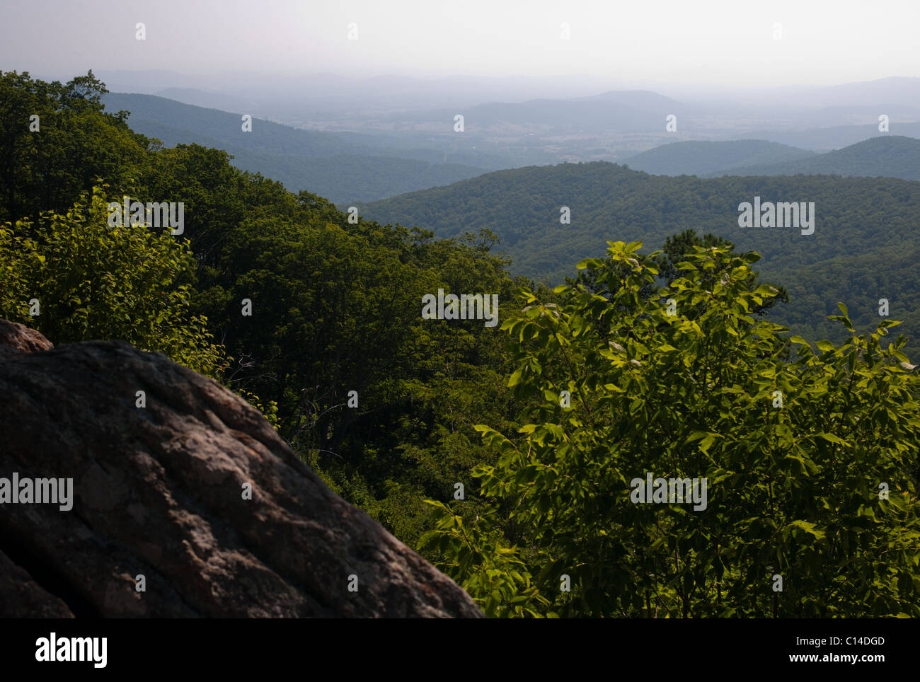 SHENANDOAH VALLEY Virginia STATI UNITI D'AMERICA Foto Stock