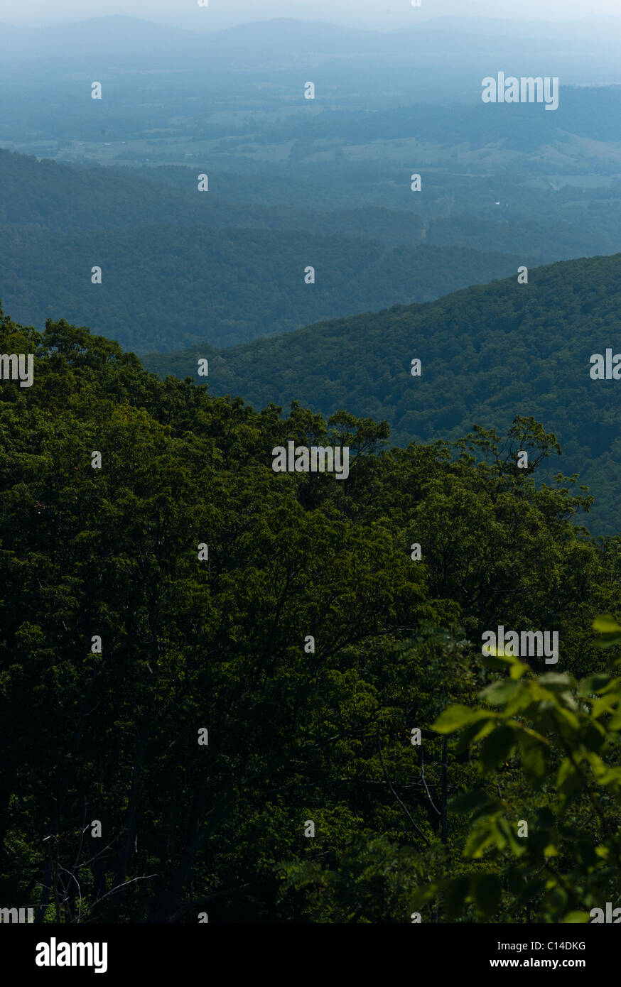 SHENANDOAH VALLEY Virginia STATI UNITI D'AMERICA Foto Stock