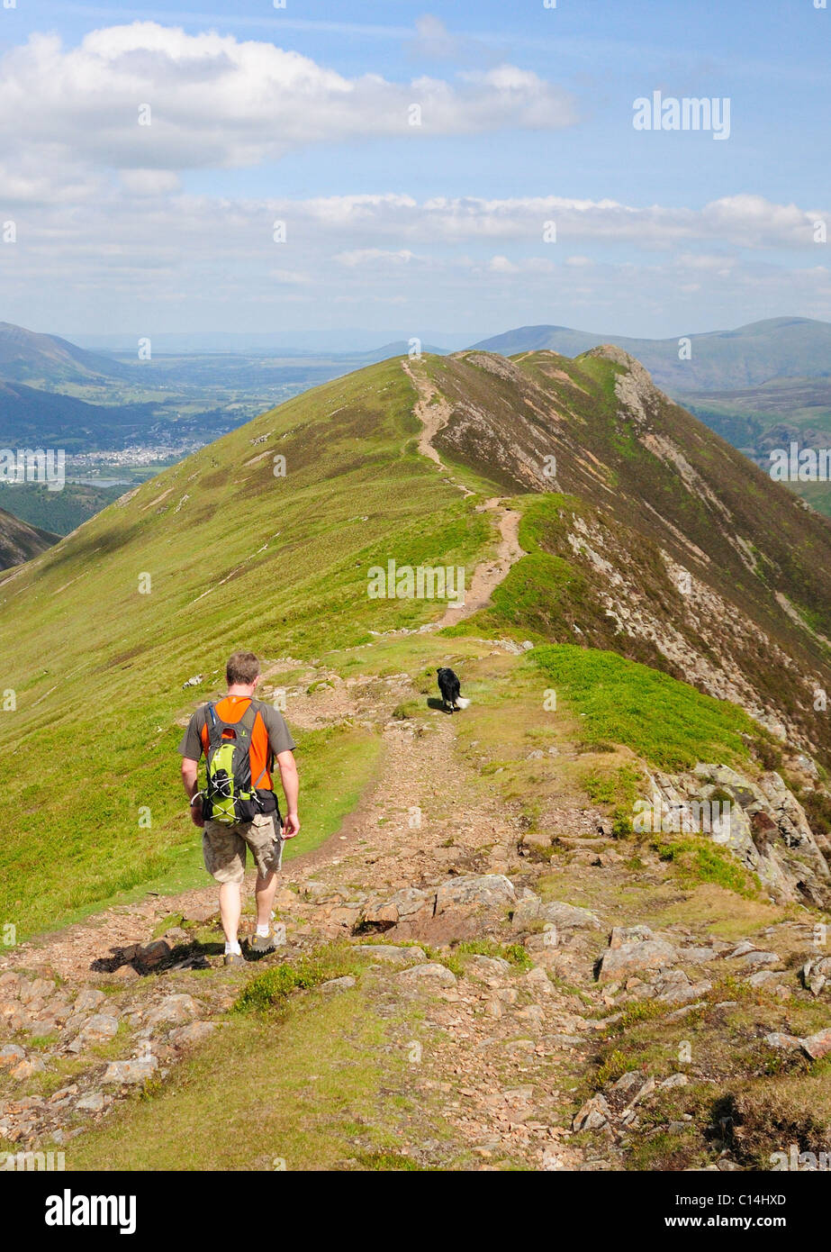 Walker su balze cicatrice guardando verso Causey Pike in estate nel Lake District inglese Foto Stock