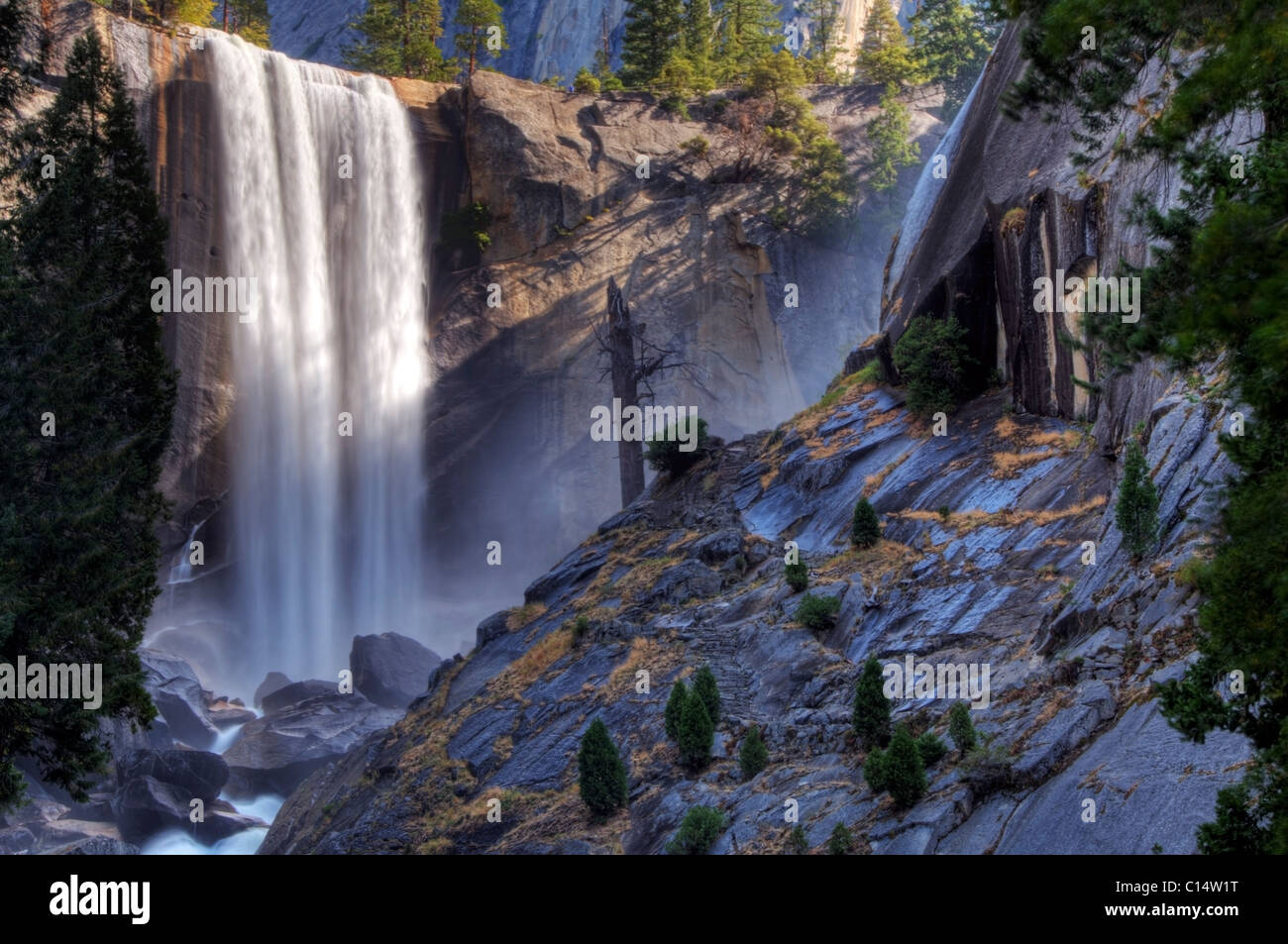 Caduta primaverile nel Parco Nazionale di Yosemite in California. Foto Stock