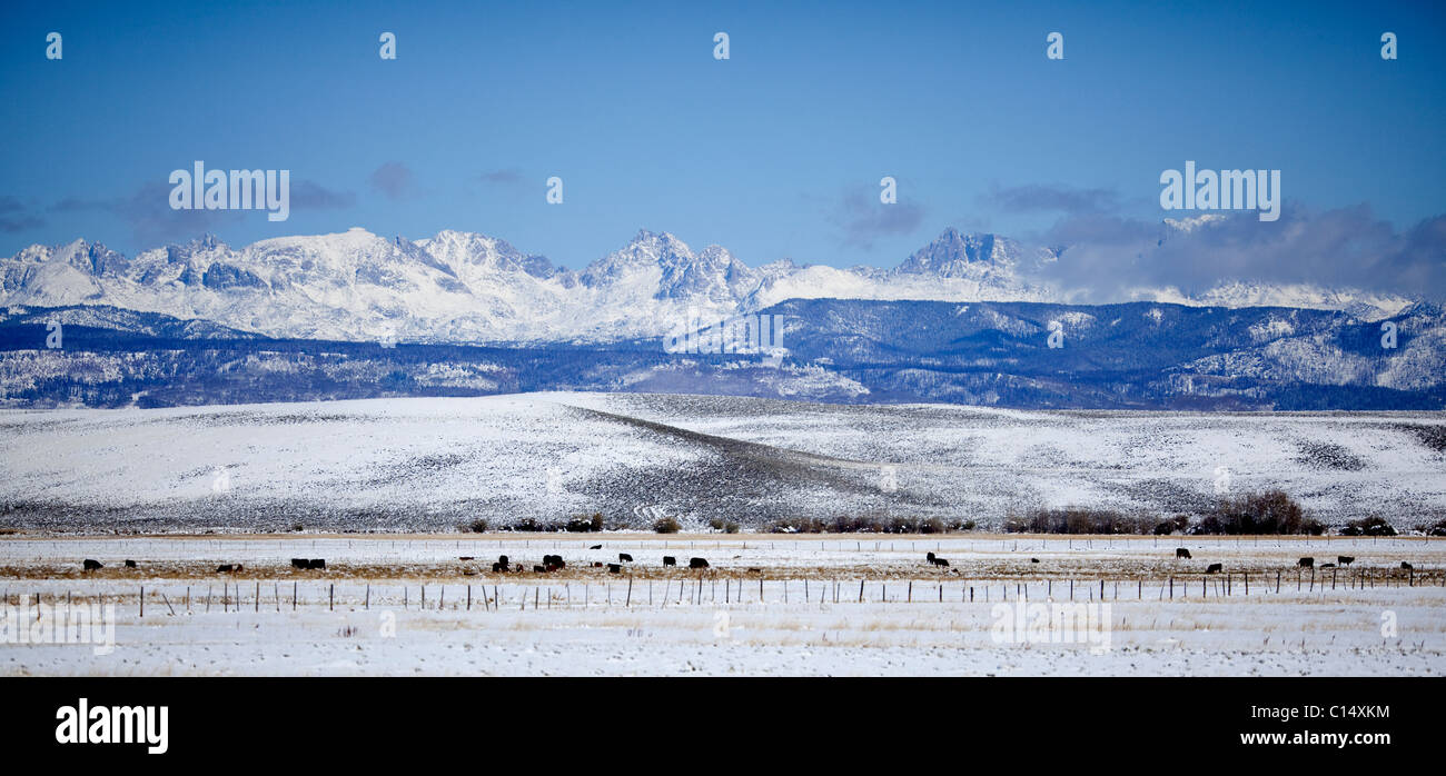 Guardando ad ovest su ranch nevoso terra, superiore verde vallata del fiume, verso le cime del Wyoming Gamma nella contea di Sublette, Wyoming Foto Stock