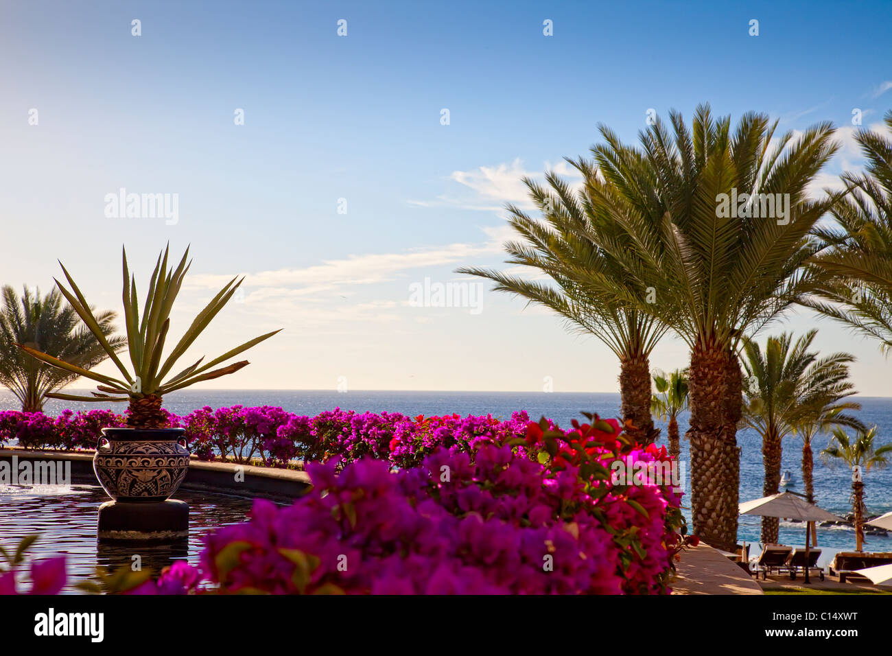 Vista del Mare di Cortez in Cabo San Lucas, Messico Foto Stock