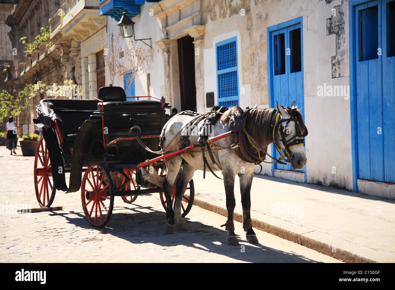 Cavallo e Carrozza in Havana Cuba Foto Stock