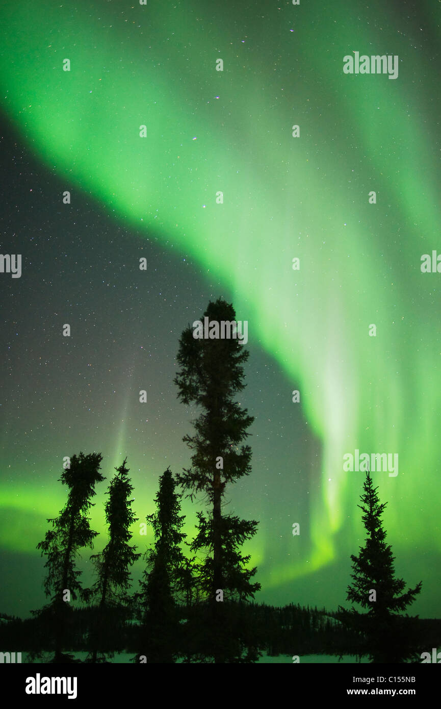 Aurora Boreale o luci del nord, nord-Ovest Territori, CANADA Foto Stock